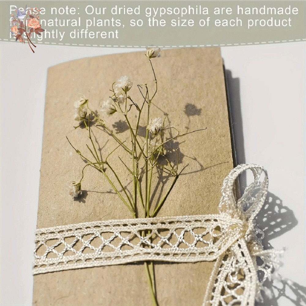 100 Piezas de Flores Secas de  - Craft Embellishments reseña y precio
